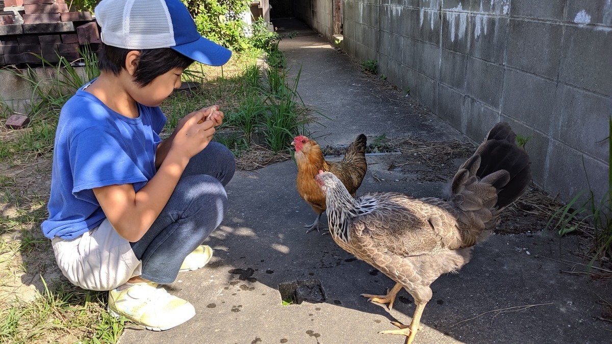 f:id:kab-log:20191014095427j:plain f:id:kab-log:20191014095427j:plain