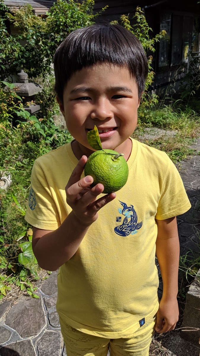 f:id:kab-log:20191014110445j:plain f:id:kab-log:20191014110445j:plain