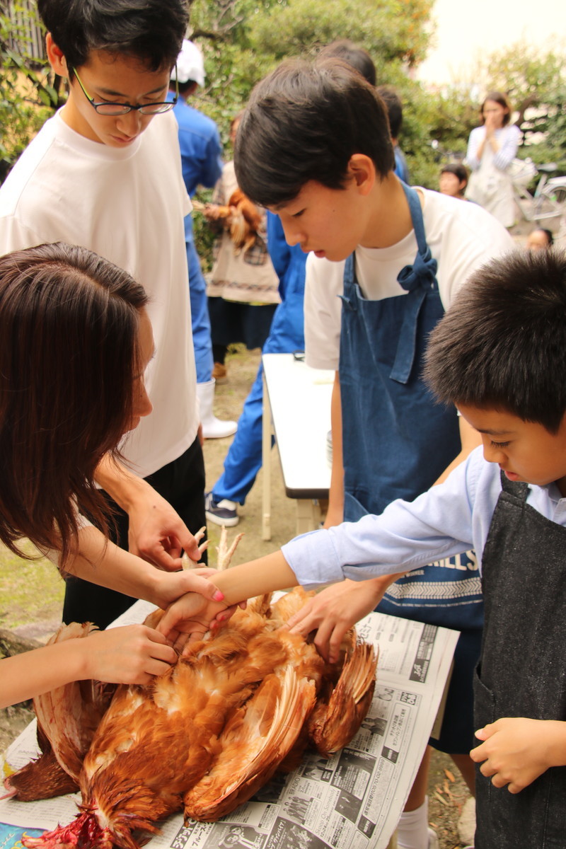 f:id:kab-log:20191019110354j:plain