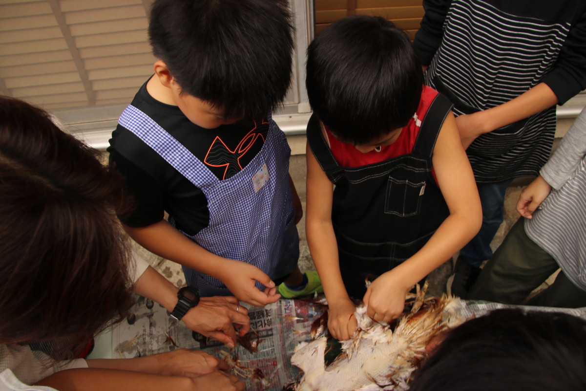 f:id:kab-log:20191019111621j:plain