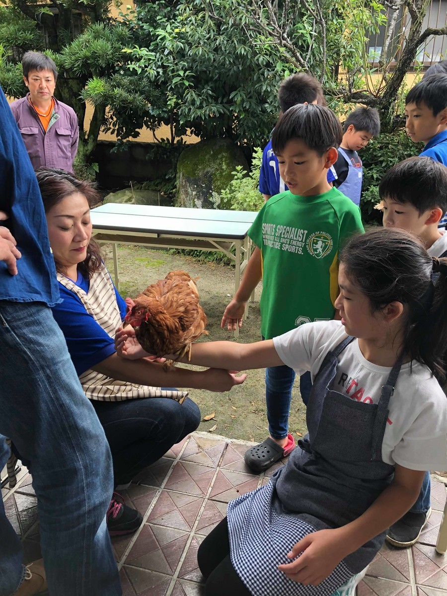 f:id:kab-log:20191020173825j:plain