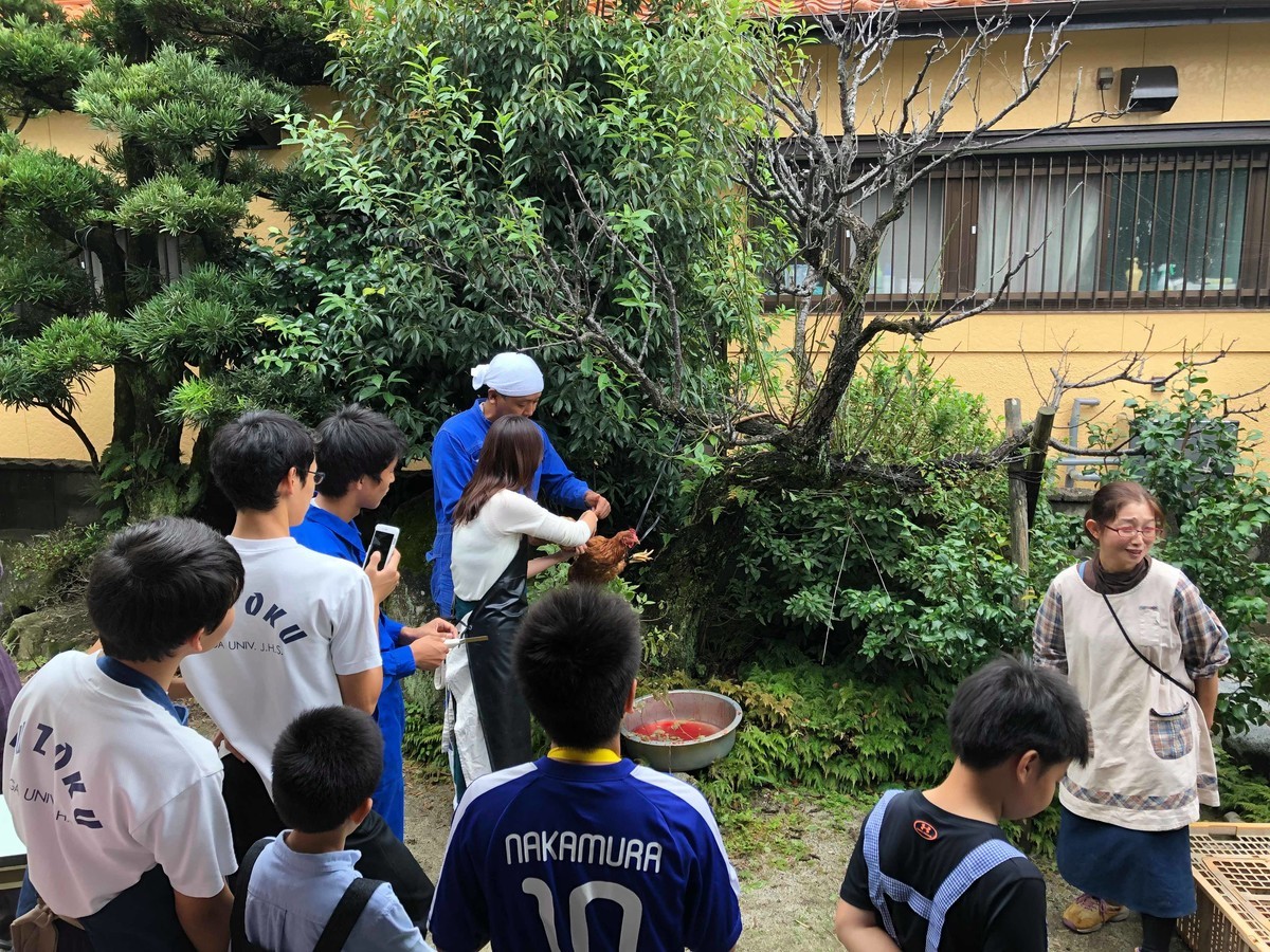 f:id:kab-log:20191020174144j:plain