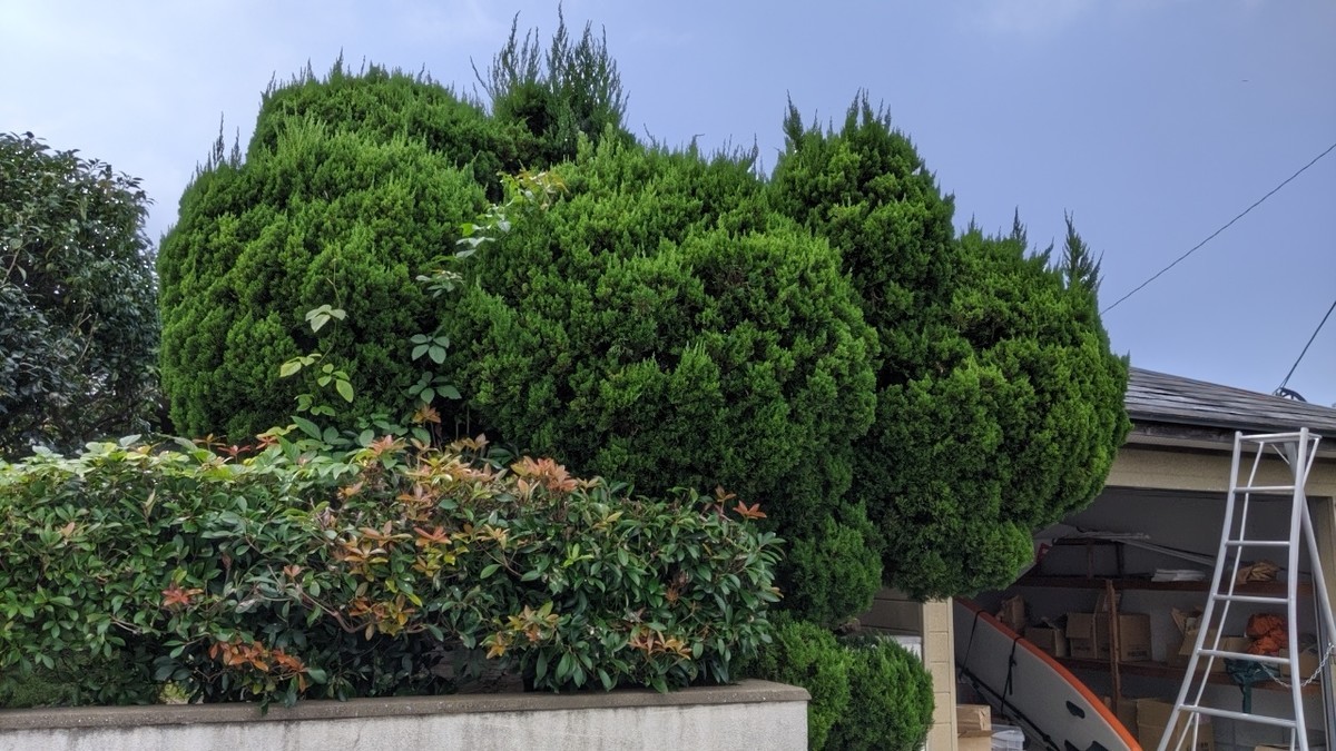 f:id:kab-log:20191026131026j:plain f:id:kab-log:20191026131026j:plain