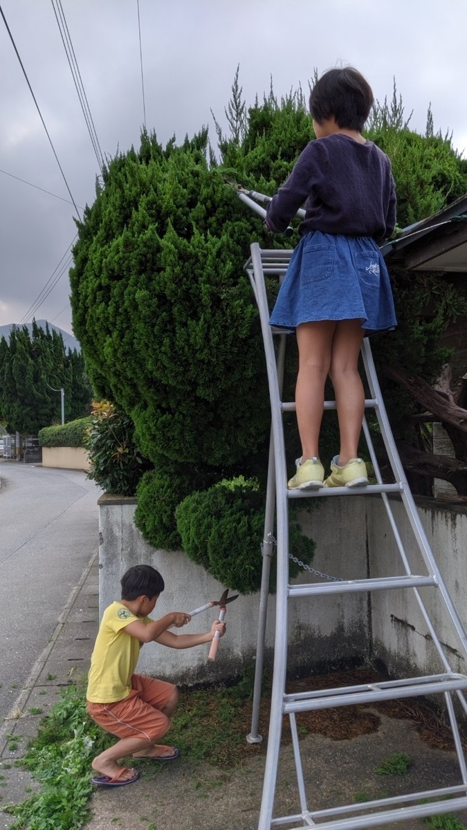 f:id:kab-log:20191026131924j:plain f:id:kab-log:20191026131924j:plain