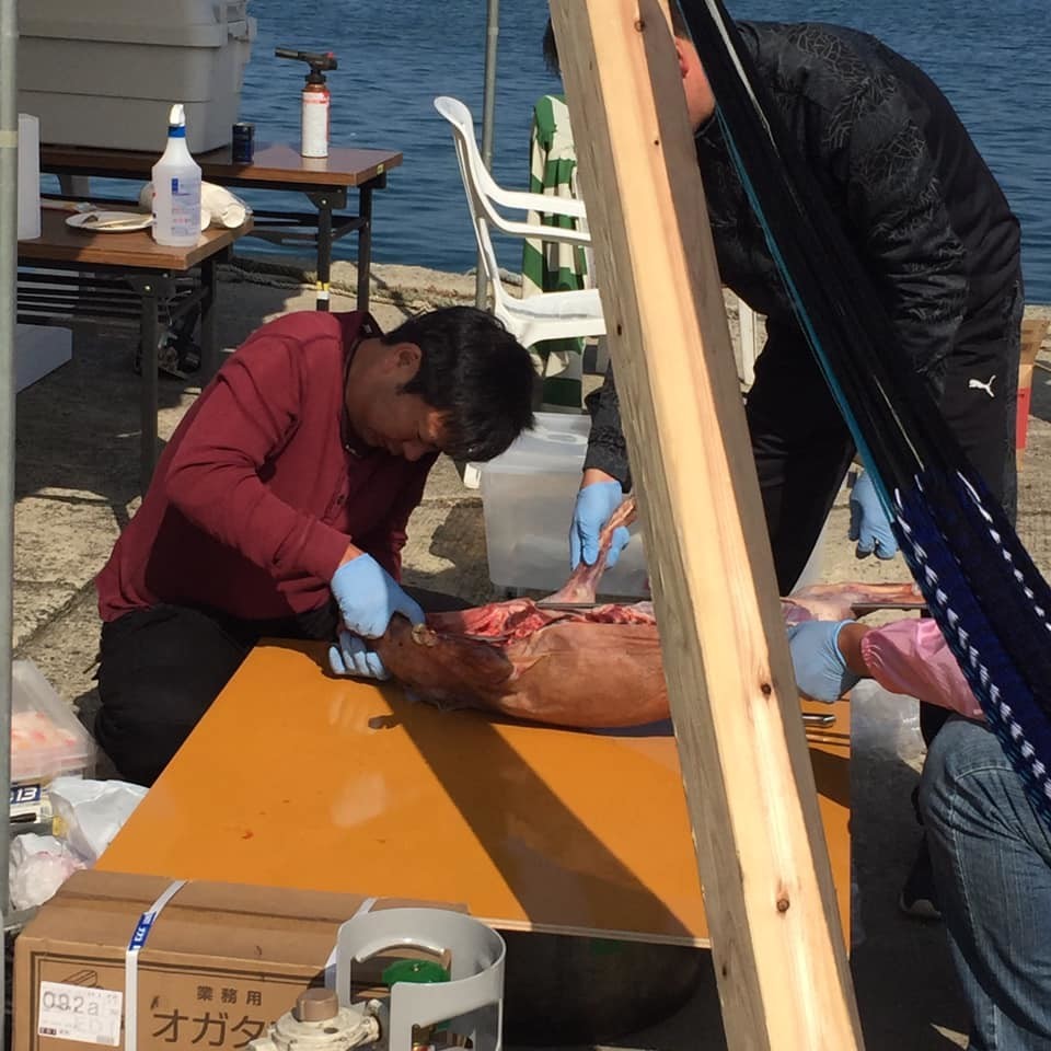 f:id:kab-log:20191028231012j:plain f:id:kab-log:20191028231012j:plain