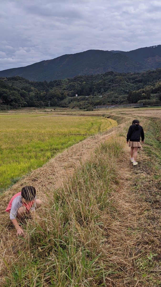 f:id:kab-log:20191124124345j:plain f:id:kab-log:20191124124345j:plain