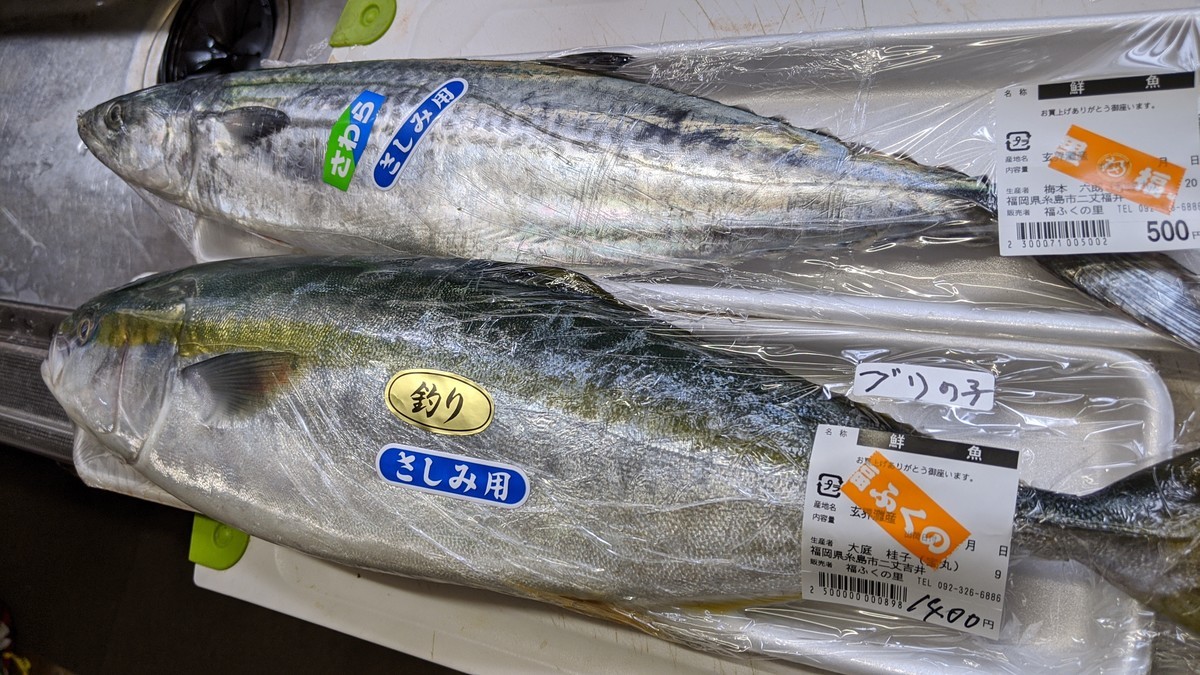 f:id:kab-log:20191208131251j:plain