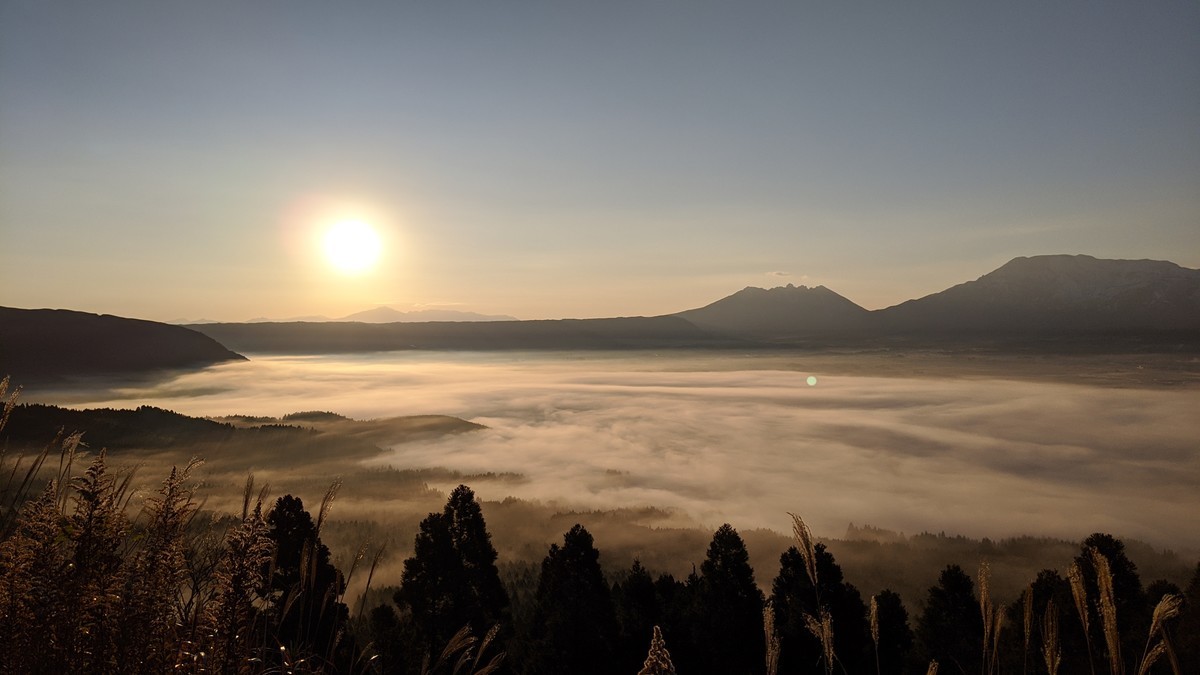 f:id:kab-log:20191223074842j:plain f:id:kab-log:20191223074842j:plain