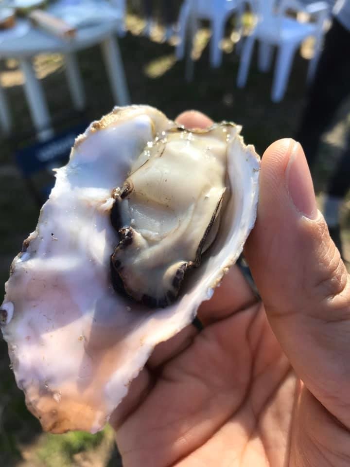 f:id:kab-log:20200107135519j:plain
