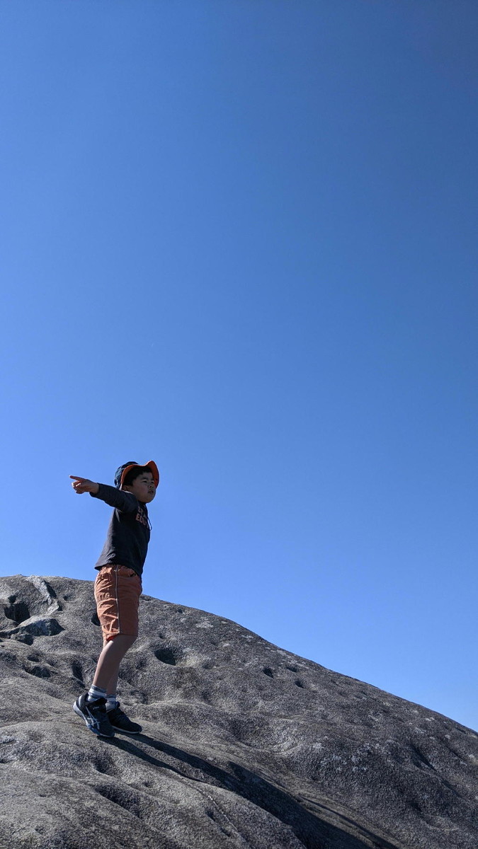 f:id:kab-log:20200320151801j:plain f:id:kab-log:20200320151801j:plain