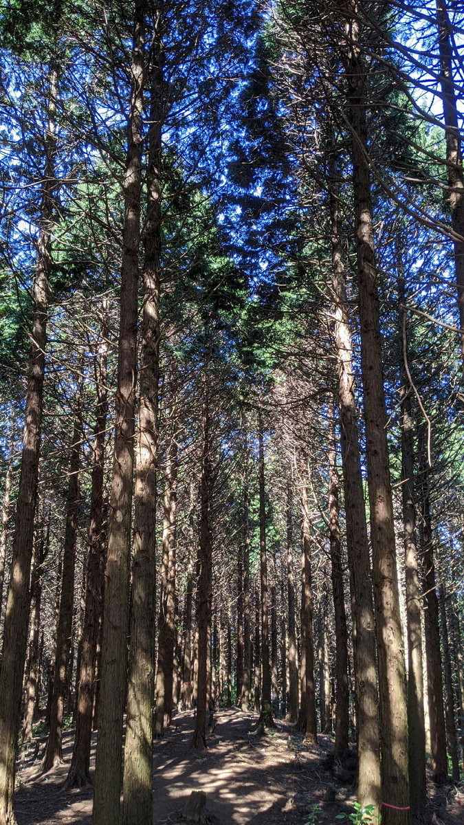 f:id:kab-log:20200320151828j:plain f:id:kab-log:20200320151828j:plain