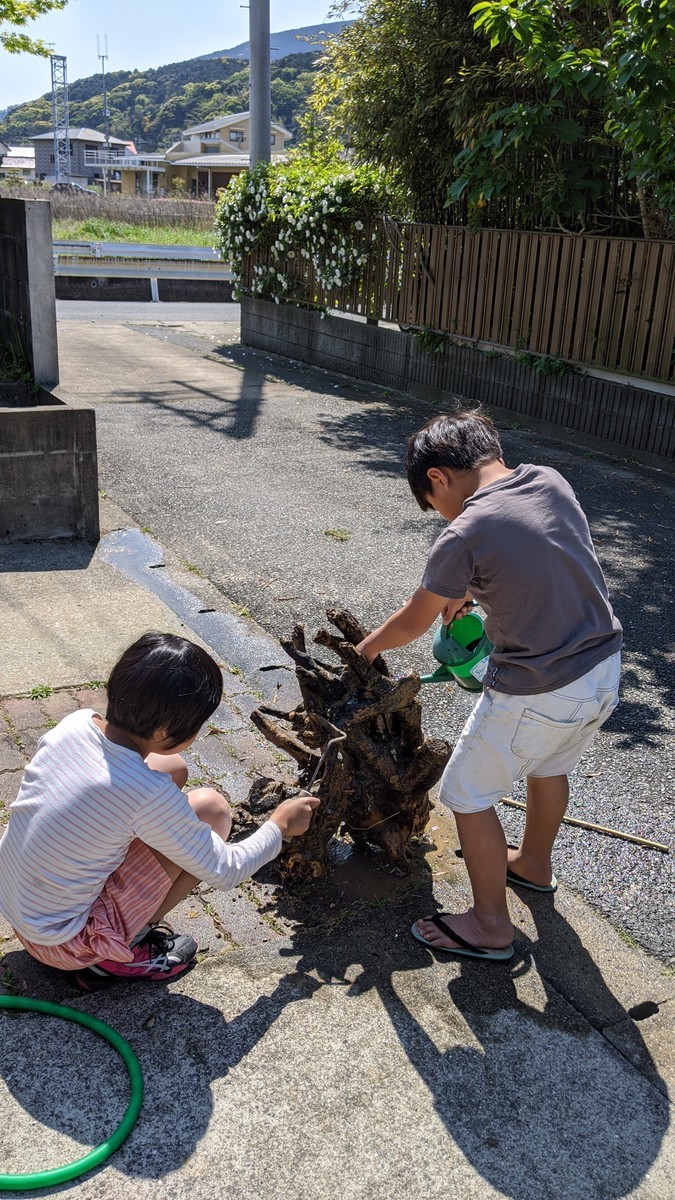 f:id:kab-log:20200429095450j:plain
