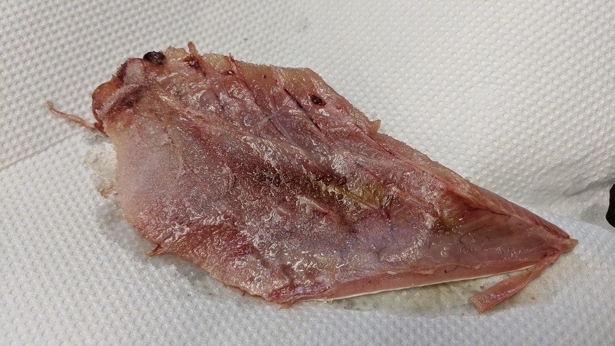 f:id:kab-log:20200519102149j:plain