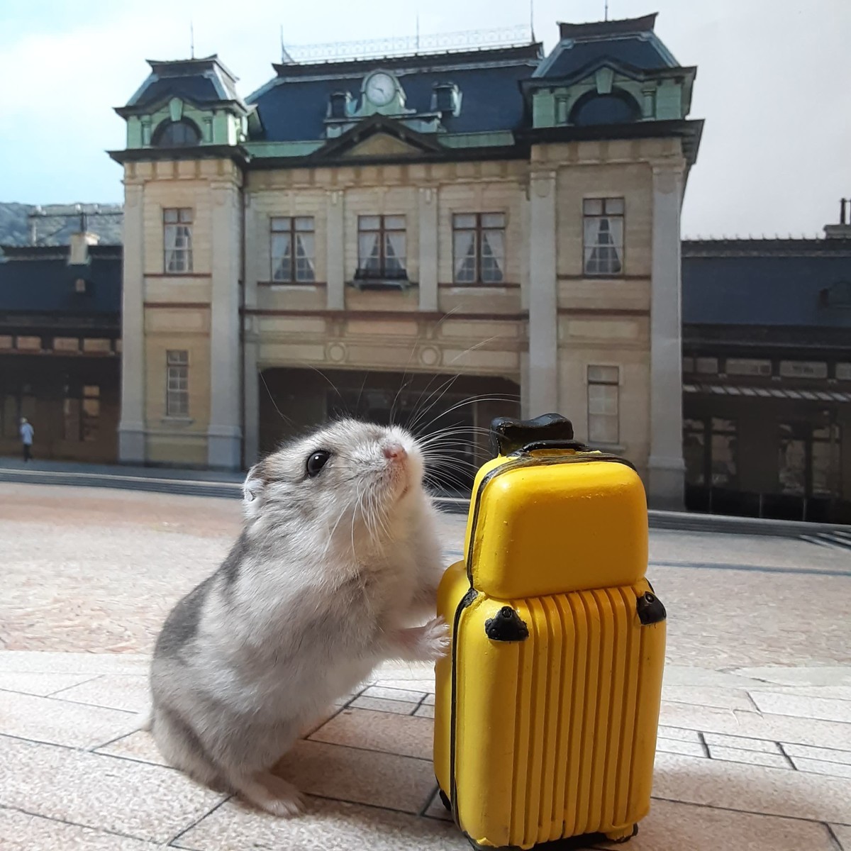 f:id:kab-log:20200603175501j:plain