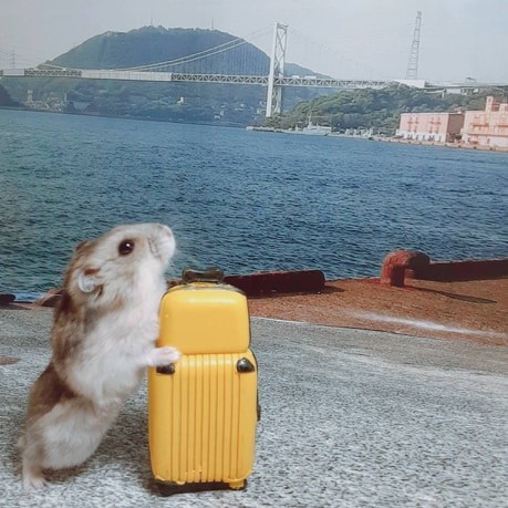 f:id:kab-log:20200603175751j:plain