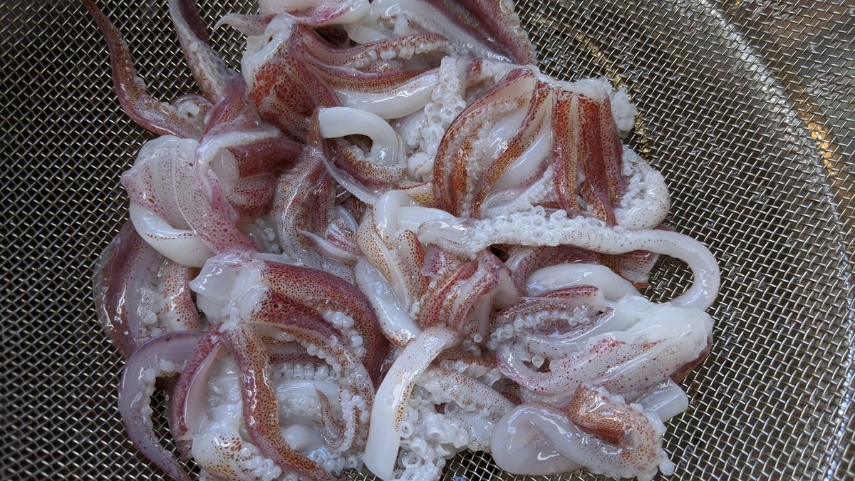 f:id:kab-log:20200719140633j:plain f:id:kab-log:20200719140633j:plain