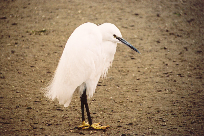 f:id:kab-log:20200726122008j:plain f:id:kab-log:20200726122008j:plain