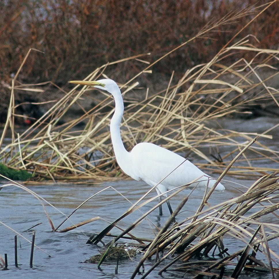 f:id:kab-log:20200726122802j:plain f:id:kab-log:20200726122802j:plain