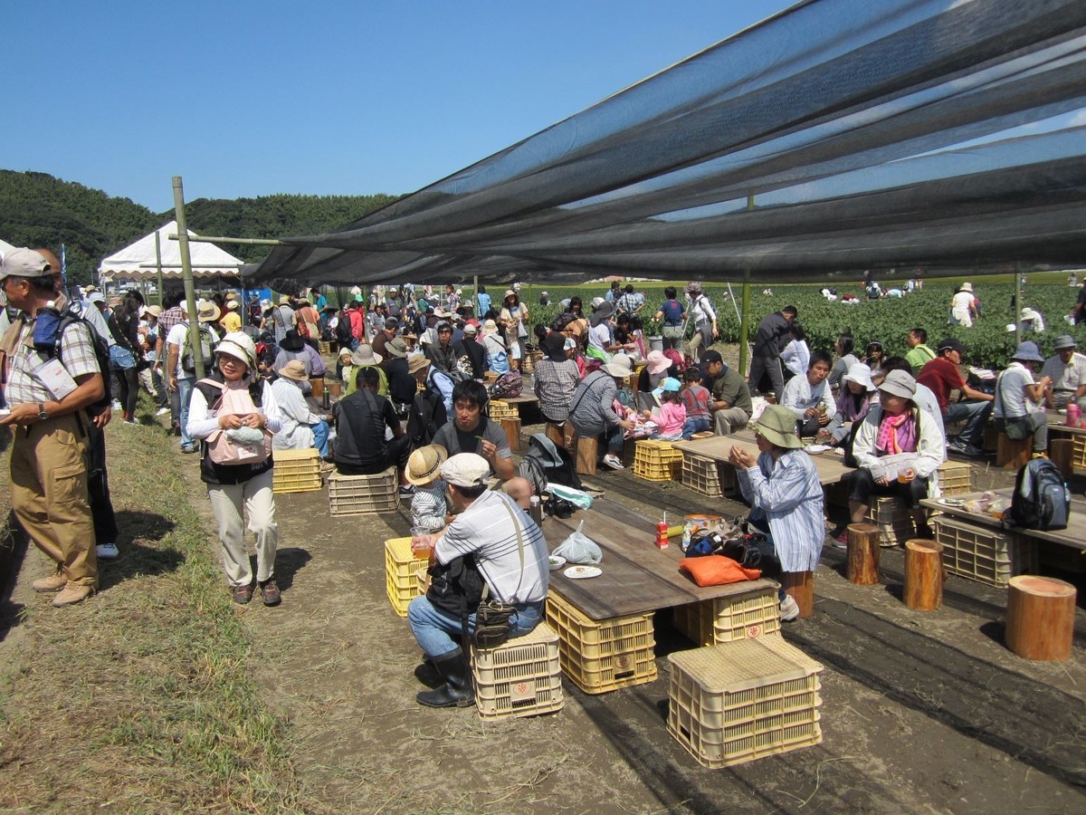 f:id:kab-log:20200805130542j:plain