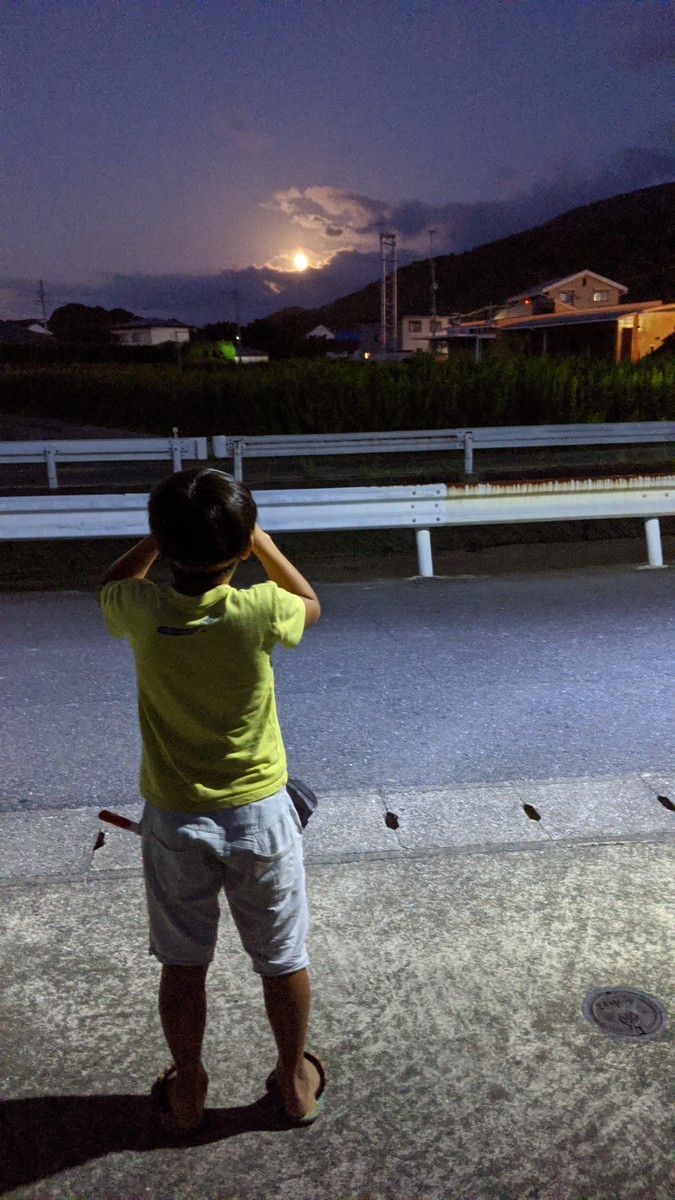 f:id:kab-log:20201001184043j:plain f:id:kab-log:20201001184043j:plain