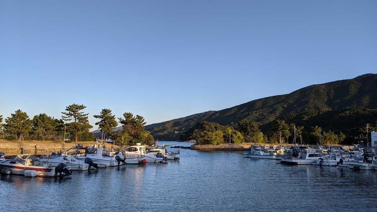 f:id:kab-log:20201109165150j:plain