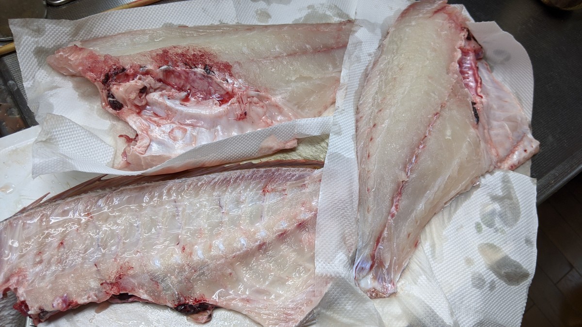 f:id:kab-log:20201115154611j:plain f:id:kab-log:20201115154611j:plain