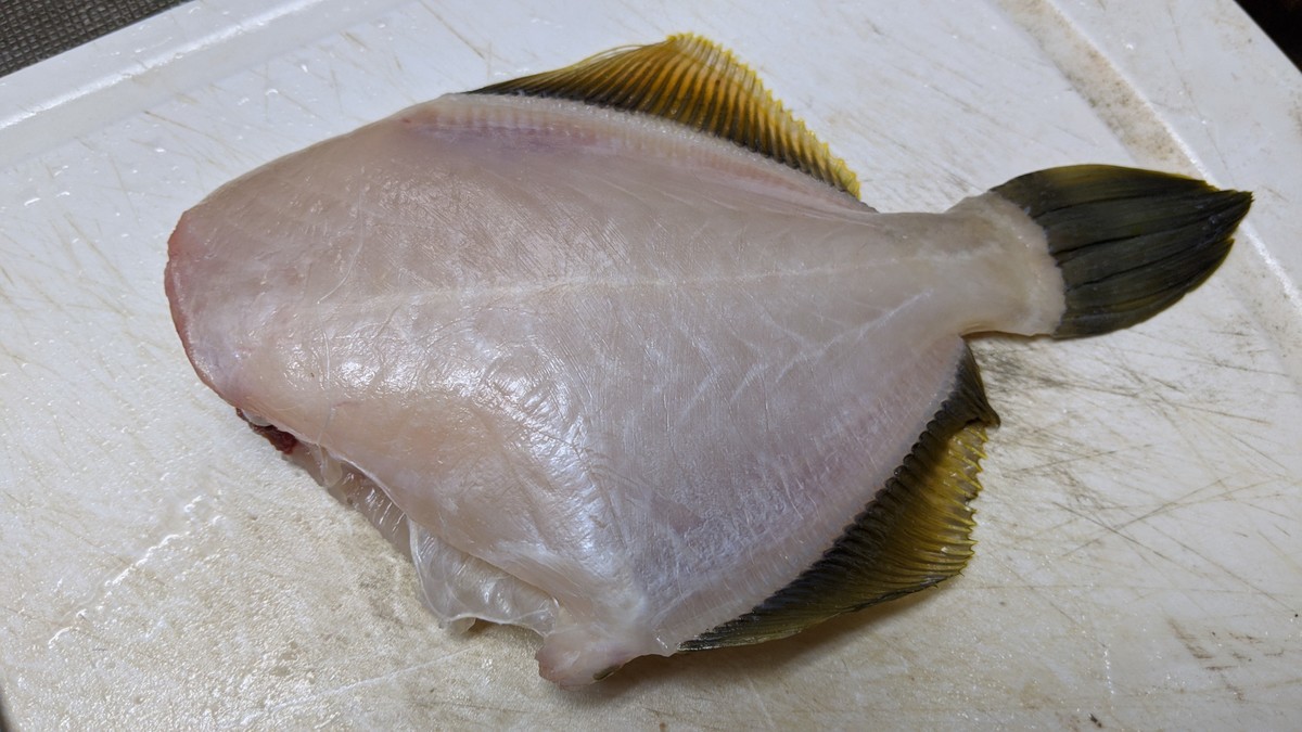 f:id:kab-log:20201115163956j:plain f:id:kab-log:20201115163956j:plain