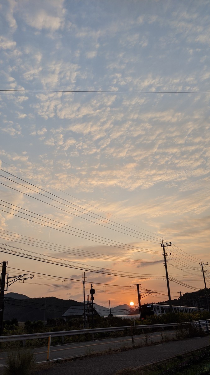 f:id:kab-log:20201117170037j:plain