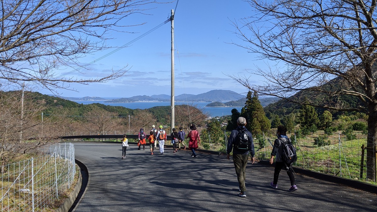 f:id:kab-log:20201121105125j:plain