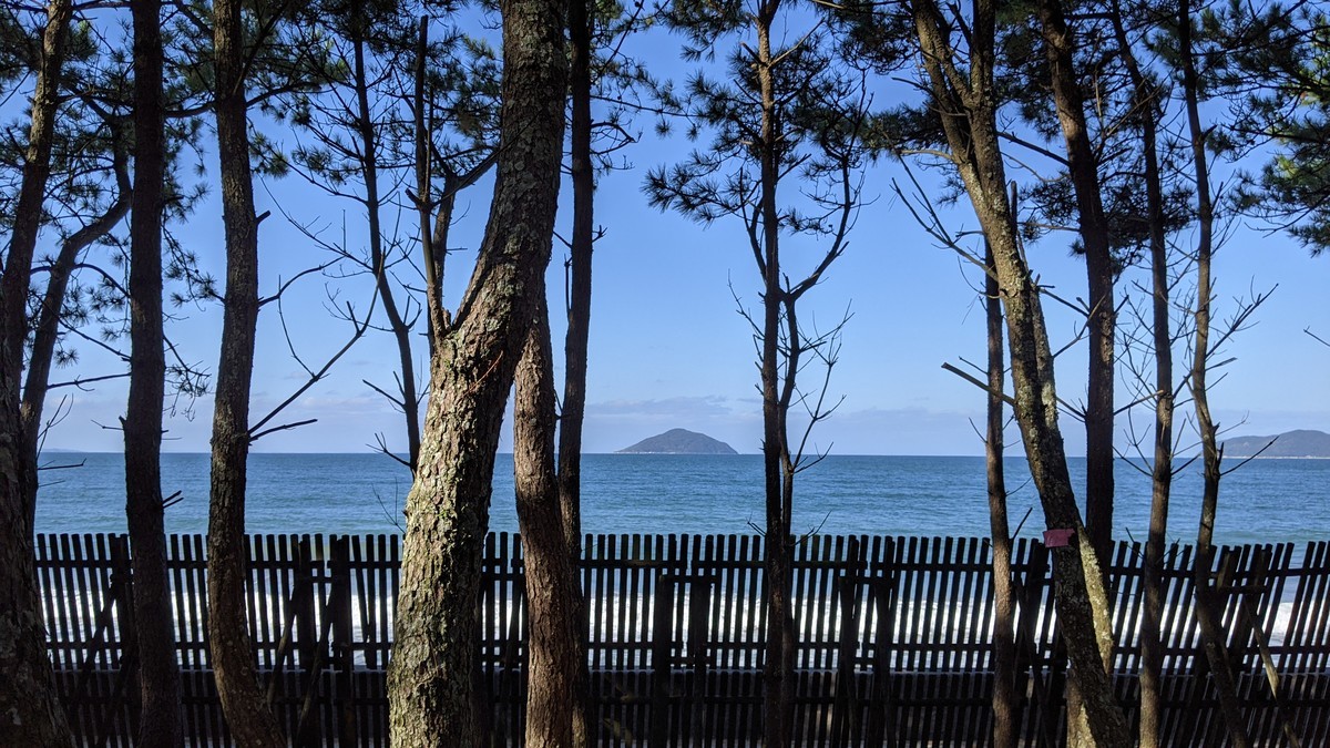 f:id:kab-log:20201121135501j:plain