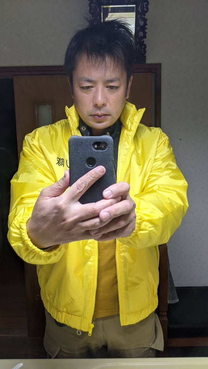 f:id:kab-log:20201127071640j:plain