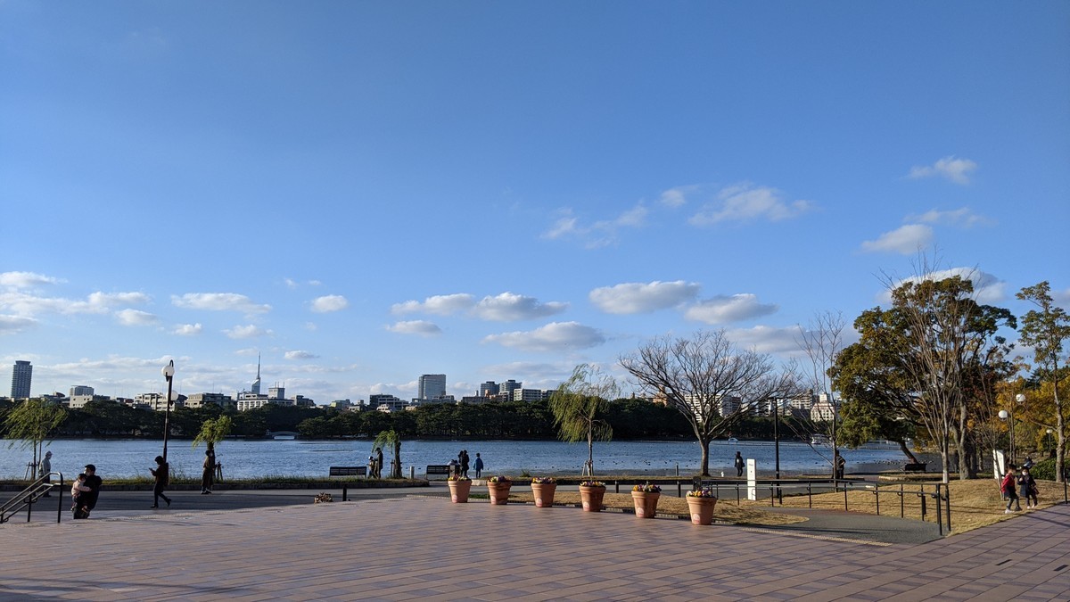 f:id:kab-log:20201205155035j:plain