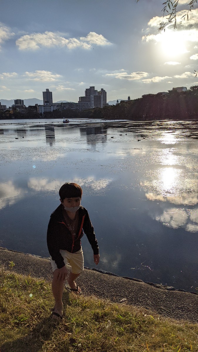 f:id:kab-log:20201205155702j:plain