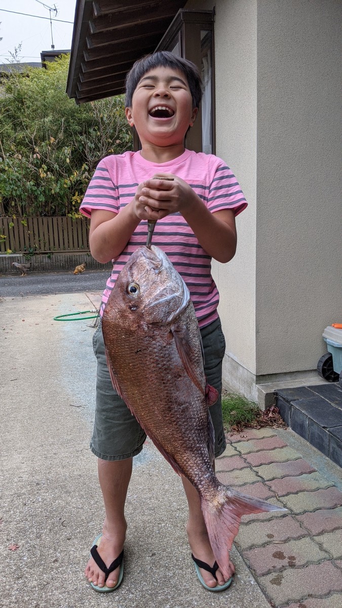 f:id:kab-log:20201213141208j:plain