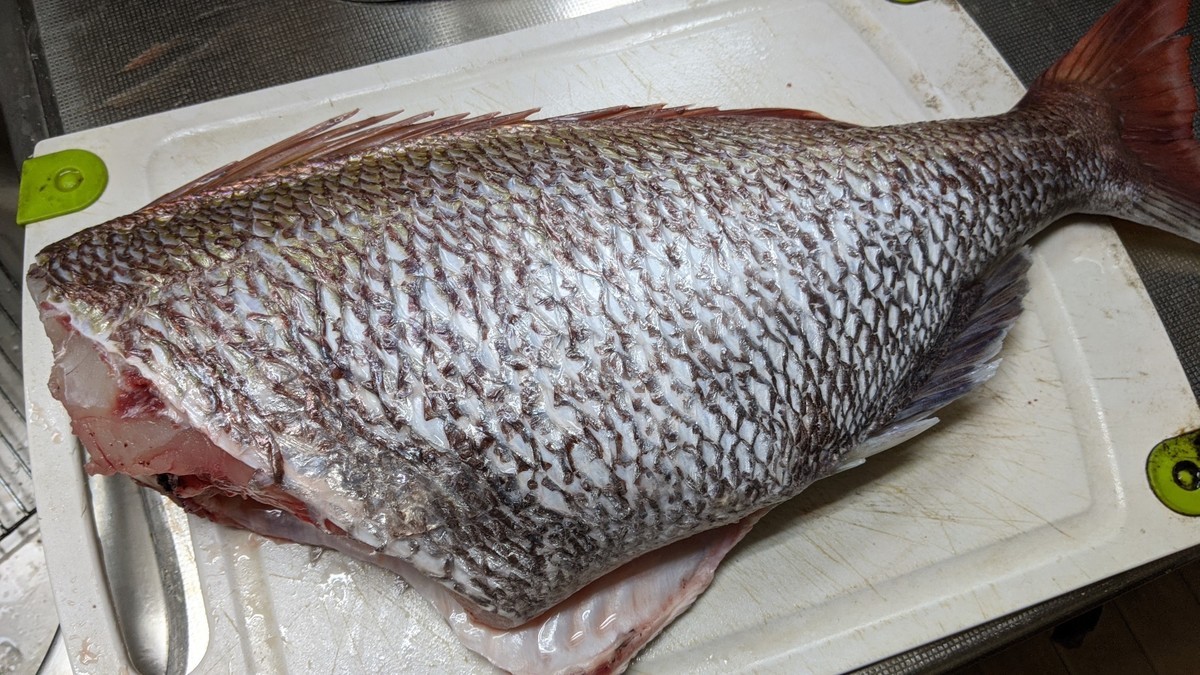 f:id:kab-log:20201213144135j:plain