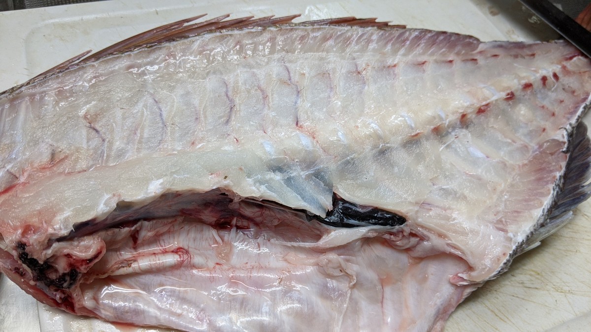 f:id:kab-log:20201213144635j:plain
