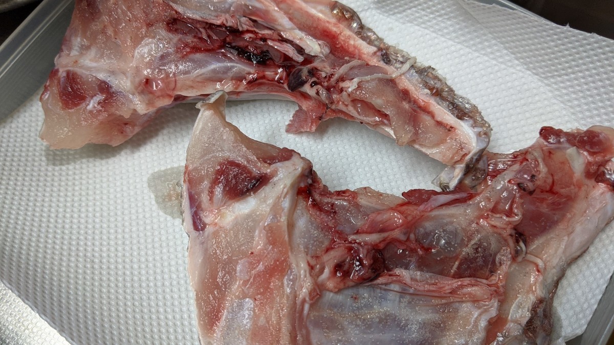 f:id:kab-log:20201213160144j:plain