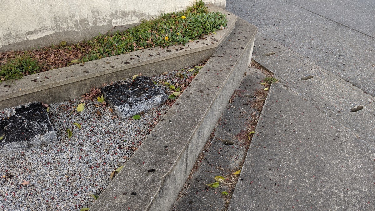 f:id:kab-log:20210104161929j:plain