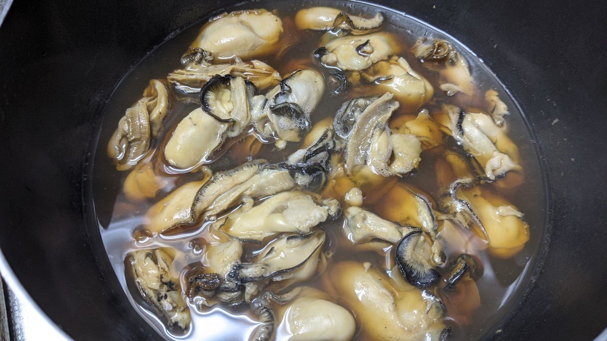 f:id:kab-log:20210107173347j:plain