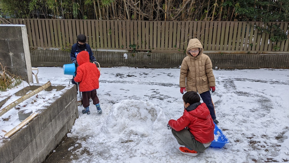 f:id:kab-log:20210109102545j:plain