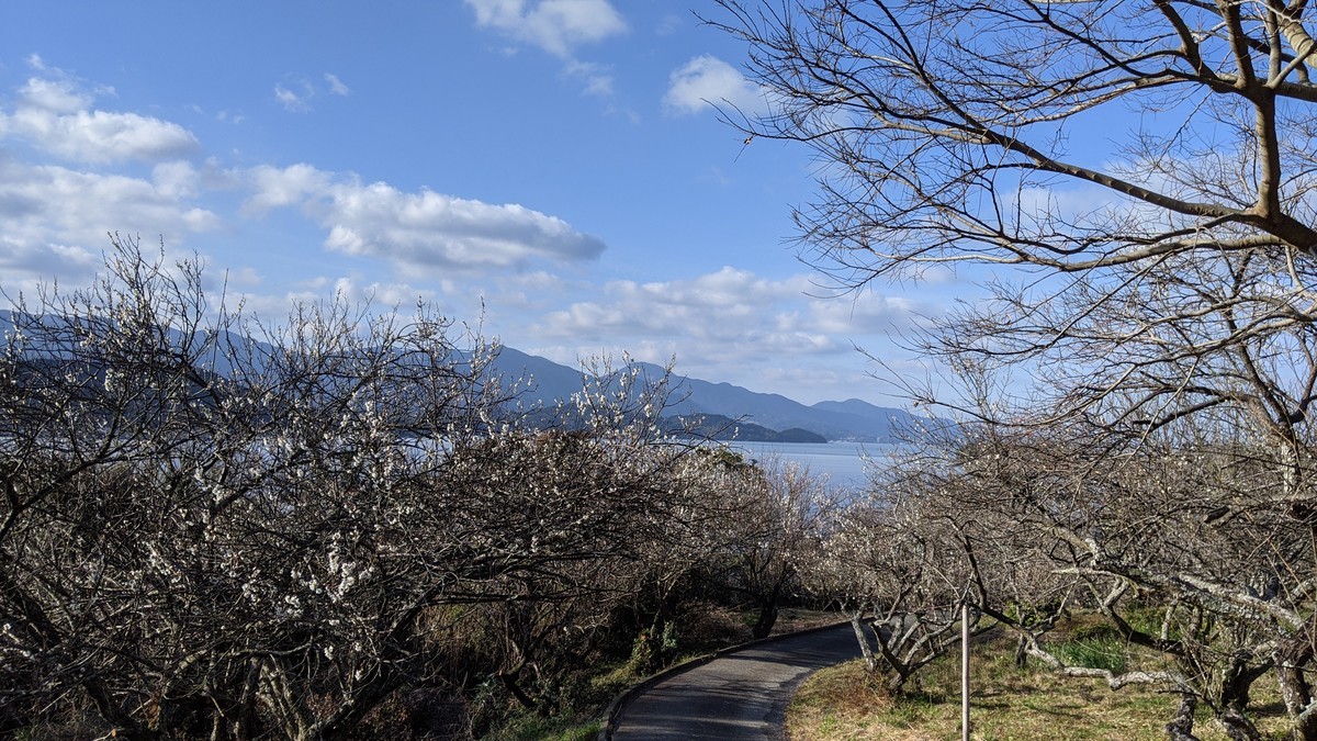 f:id:kab-log:20210216090710j:plain