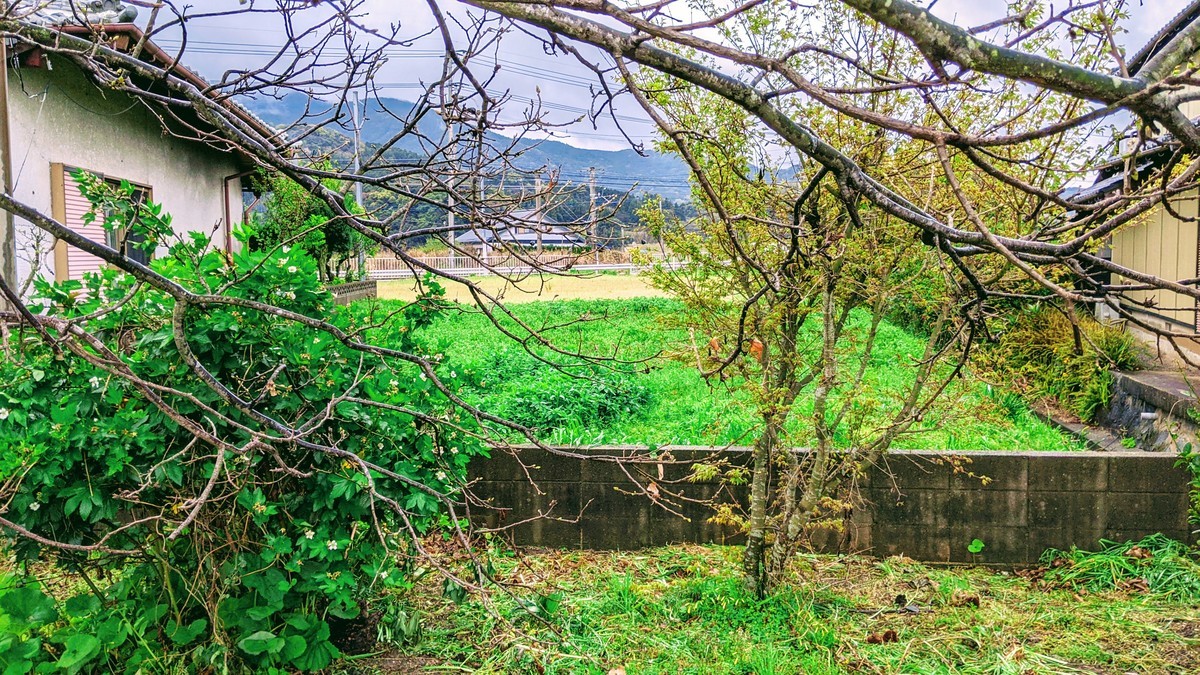 f:id:kab-log:20210328084957j:plain