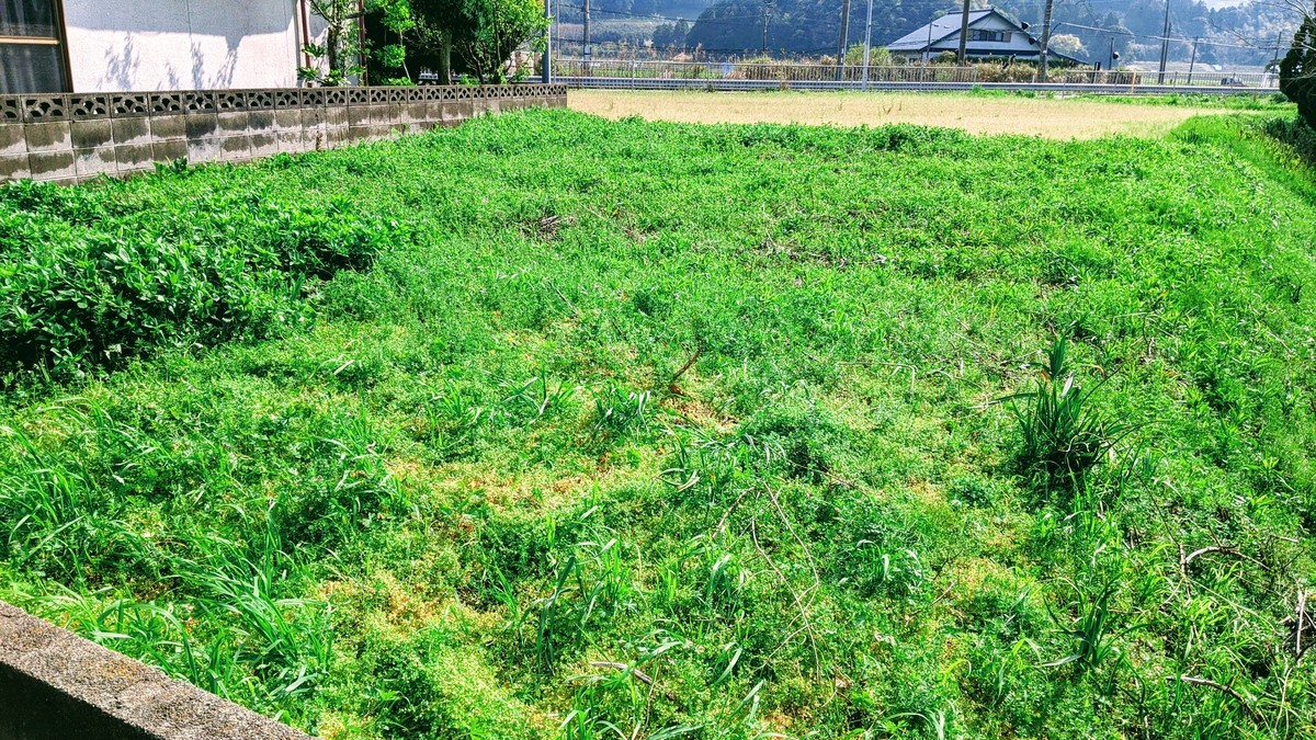 f:id:kab-log:20210328145444j:plain