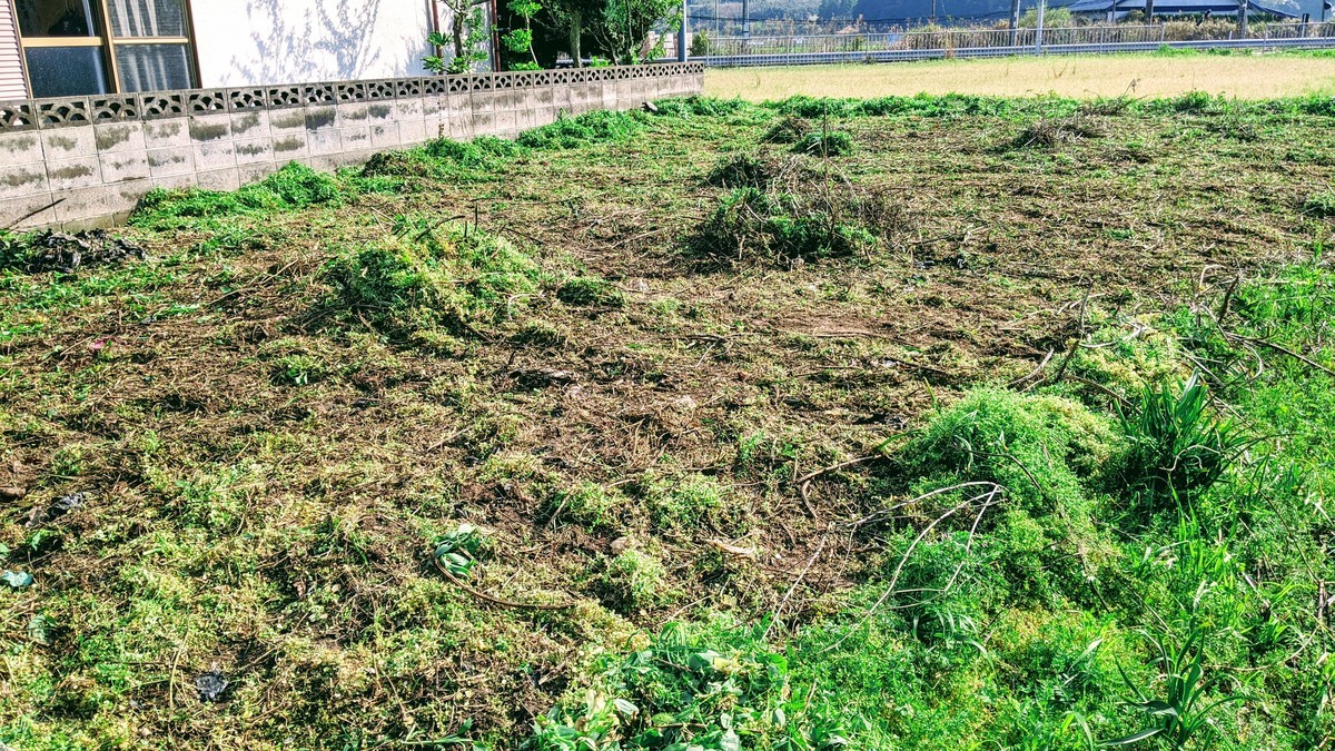 f:id:kab-log:20210328153855j:plain