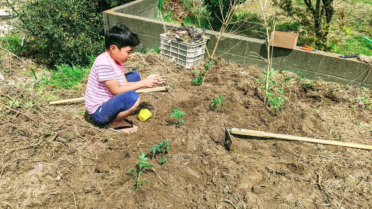 f:id:kab-log:20210402112543j:plain