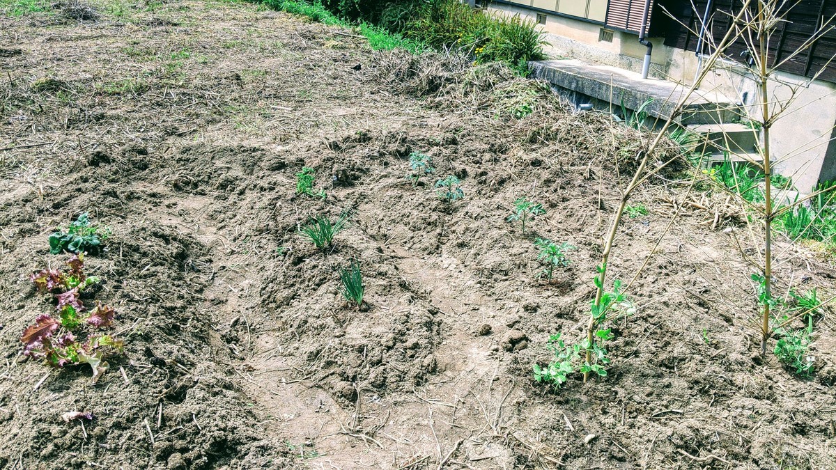 f:id:kab-log:20210403121359j:plain