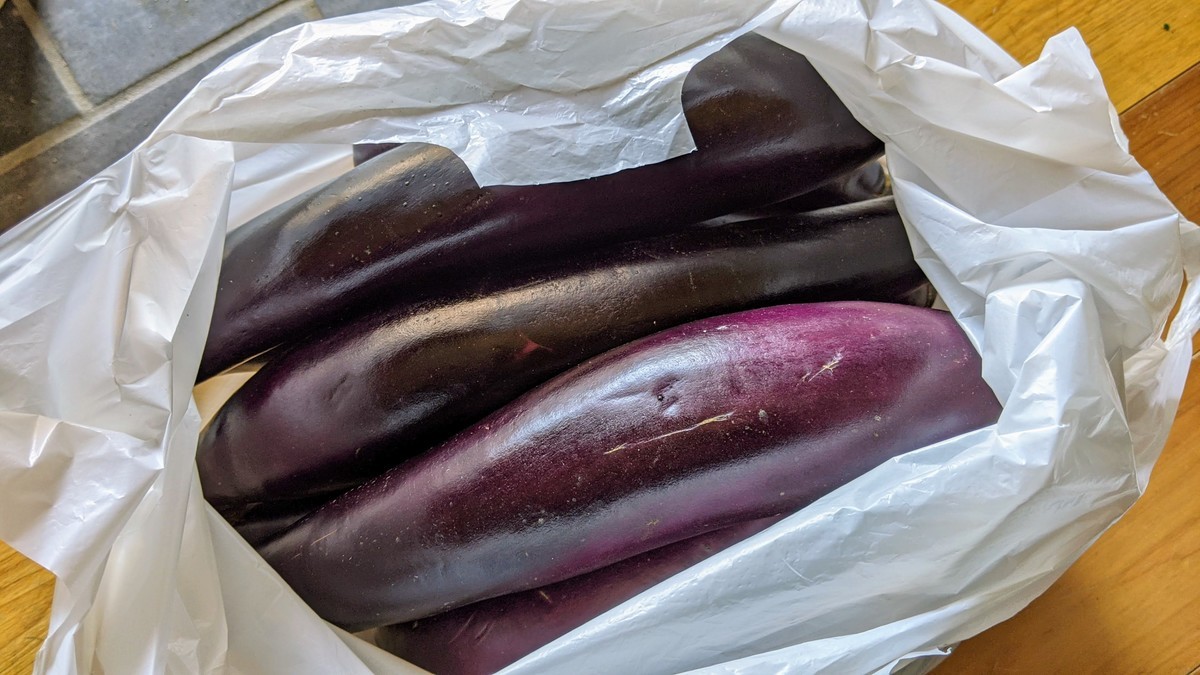 f:id:kab-log:20210410110220j:plain