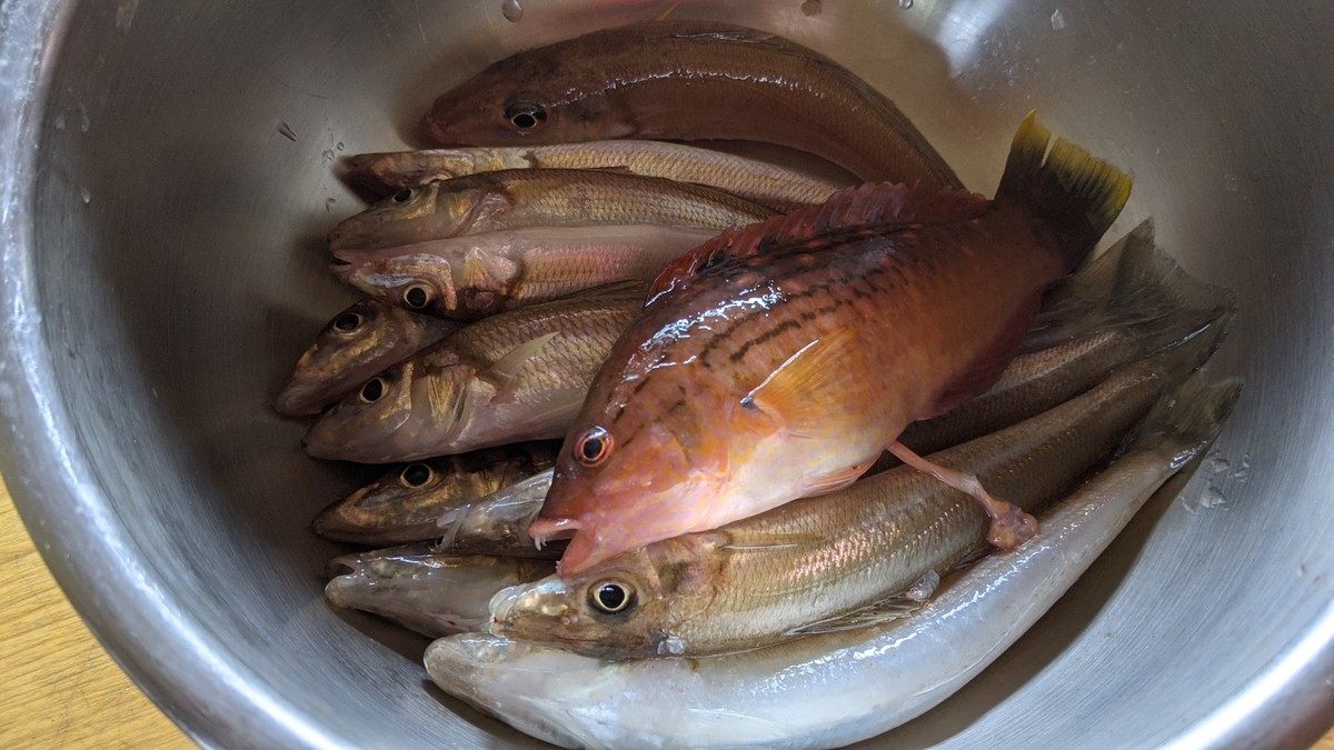 f:id:kab-log:20210504103236j:plain