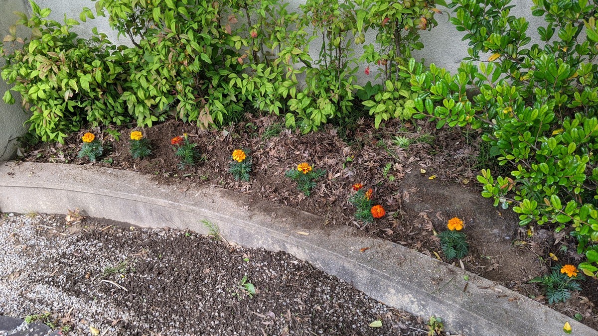 f:id:kab-log:20210516093815j:plain