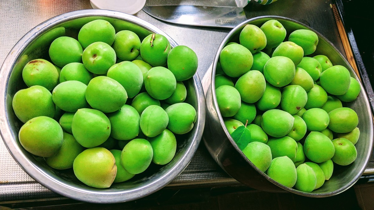 f:id:kab-log:20210516133501j:plain